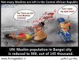 Stop killing muslims in central african republic