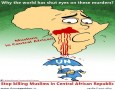 Stop killing muslims in central african republic