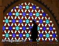 افزایش گرایش عمومی به «اسلام» در دنیا